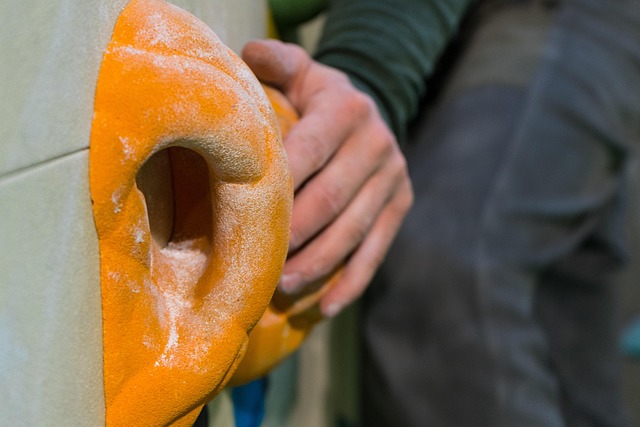 Jak wybrać idealny nóż kuchenny dla początkującego kucharza?