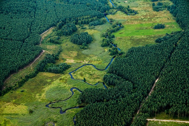 Największe biura podróży – jak wybrać to najlepsze dla siebie?